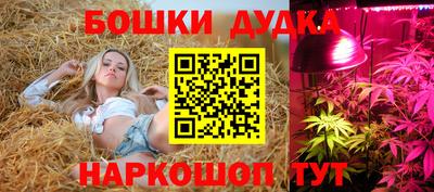 стафф Краснознаменск
