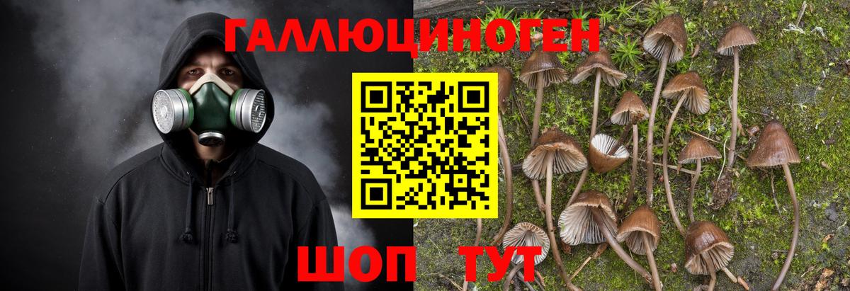 Галлюциногенные грибы мицелий Каменск-Шахтинский