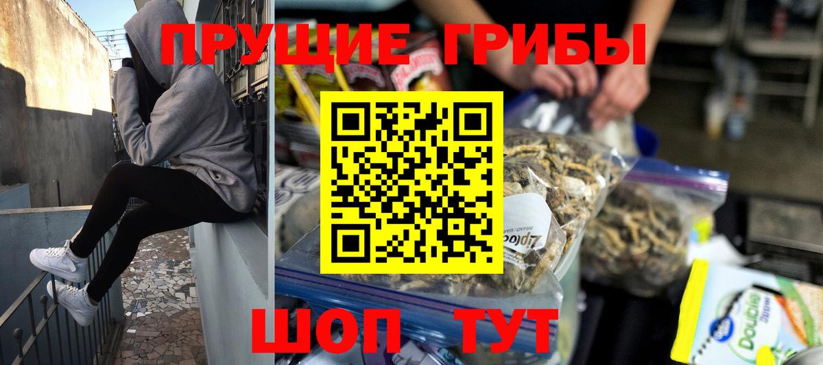 Каменск-Шахтинский  Галлюциногенные грибы мицелий  Вход с VPN 